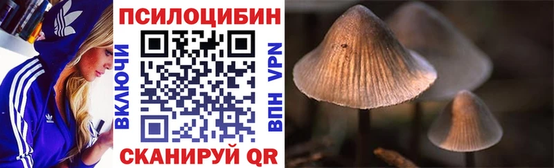 Псилоцибиновые грибы ЛСД Купить закладки Зеленодольск